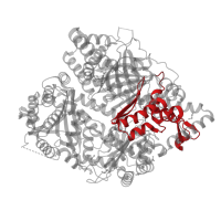 The deposited structure of PDB entry 7dia contains 1 copy of Pfam domain PF00675 (Insulinase (Peptidase family M16)) in Falcilysin. Showing 1 copy in chain A.