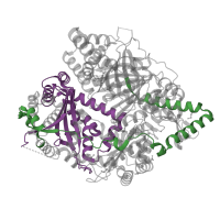 The deposited structure of PDB entry 7dia contains 2 copies of Pfam domain PF08367 (Peptidase M16C associated) in Falcilysin. Showing 2 copies in chain A.