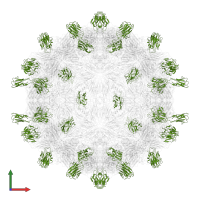 Coxsackievirus and adenovirus receptor in PDB entry 7dq1, assembly 1, front view.