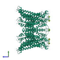 Homo octameric assembly 1 of PDB entry 7dsc coloured by chemically distinct molecules, side view.