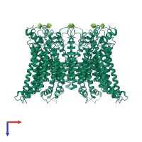 Homo octameric assembly 1 of PDB entry 7dsc coloured by chemically distinct molecules, top view.