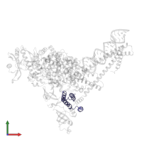 Non-structural protein 7 in PDB entry 7dte, assembly 1, front view.