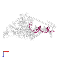 RNA (57-MER) in PDB entry 7dte, assembly 1, top view.