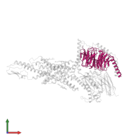 Guanine nucleotide-binding protein G(I)/G(S)/G(T) subunit beta-1 in PDB entry 7dty, assembly 1, front view.