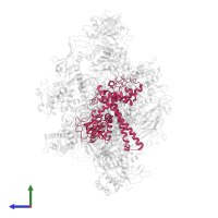 DNA-directed RNA polymerase III subunit RPC3 in PDB entry 7du2, assembly 1, side view.
