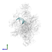 DNA (5'-D(P*GP*TP*CP*TP*GP*AP*TP*CP*TP*CP*GP*GP*AP*A)-3') in PDB entry 7du2, assembly 1, side view.