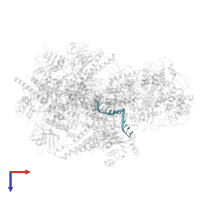 DNA (5'-D(P*GP*TP*CP*TP*GP*AP*TP*CP*TP*CP*GP*GP*AP*A)-3') in PDB entry 7du2, assembly 1, top view.