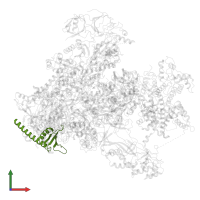 DNA-directed RNA polymerases I and III subunit RPAC2 in PDB entry 7du2, assembly 1, front view.