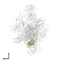 DNA-directed RNA polymerases I and III subunit RPAC2 in PDB entry 7du2, assembly 1, side view.