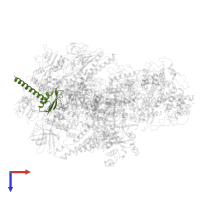 DNA-directed RNA polymerases I and III subunit RPAC2 in PDB entry 7du2, assembly 1, top view.