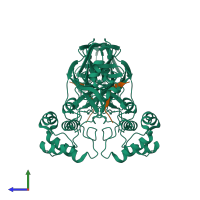 Hetero tetrameric assembly 1 of PDB entry 7dvx coloured by chemically distinct molecules, side view.