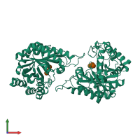 Homo dimeric assembly 1 of PDB entry 7dwa coloured by chemically distinct molecules, front view.