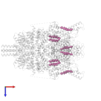 CHOLESTEROL HEMISUCCINATE in PDB entry 7dxb, assembly 1, top view.