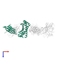 Ig-like domain-containing protein in PDB entry 7dzn, assembly 1, top view.