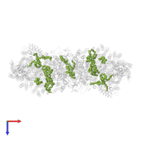 CARDIOLIPIN in PDB entry 7e1w, assembly 1, top view.