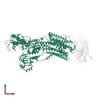 Sodium/potassium-transporting ATPase subunit alpha-1 in PDB entry 7e20, assembly 1, front view.