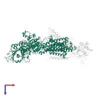Sodium/potassium-transporting ATPase subunit alpha-1 in PDB entry 7e20, assembly 1, top view.