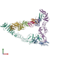 PDB entry 7e2d coloured by chain, front view.