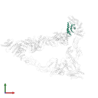 TRAPP-associated protein TCA17 in PDB entry 7e2d, assembly 1, front view.