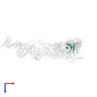 TRAPP-associated protein TCA17 in PDB entry 7e2d, assembly 1, top view.