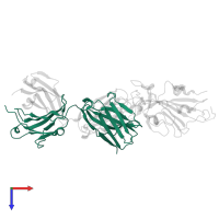 NT-193 Heavy chain in PDB entry 7e5o, assembly 1, top view.