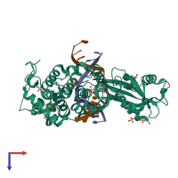 Hetero trimeric assembly 1 of PDB entry 7ef9 coloured by chemically distinct molecules, top view.