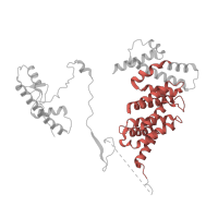 The deposited structure of PDB entry 7egi contains 2 copies of Pfam domain PF07571 (TAF6 C-terminal HEAT repeat domain) in Transcription initiation factor TFIID subunit 6. Showing 1 copy in chain E [auth F].