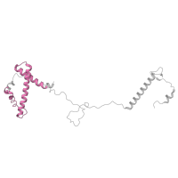 The deposited structure of PDB entry 7egi contains 1 copy of Pfam domain PF07524 (Bromodomain associated) in Transcription initiation factor TFIID subunit 8. Showing 1 copy in chain G [auth H].