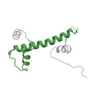 The deposited structure of PDB entry 7egi contains 2 copies of Pfam domain PF03540 (Transcription initiation factor TFIID 23-30kDa subunit) in Transcription initiation factor TFIID subunit 10. Showing 1 copy in chain S [auth j].