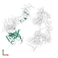 Transcription initiation factor TFIID subunit 1 in PDB entry 7egi, assembly 1, front view.