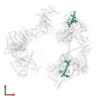 Transcription initiation factor TFIID subunit 10 in PDB entry 7egi, assembly 1, front view.