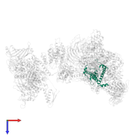 Transcription initiation factor TFIID subunit 10 in PDB entry 7egi, assembly 1, top view.