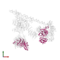 Transcription initiation factor TFIID subunit 5 in PDB entry 7egj, assembly 1, front view.