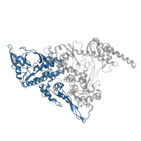 The deposited structure of PDB entry 7egq contains 2 copies of Pfam domain PF06478 (Coronavirus RNA-dependent RNA polymerase, N-terminal) in RNA-directed RNA polymerase nsp12. Showing 1 copy in chain A.