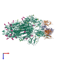 Hetero nonameric assembly 1 of PDB entry 7ej4 coloured by chemically distinct molecules, top view.