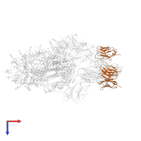 RBD-chAb-25, Heavy chain in PDB entry 7ej4, assembly 1, top view.