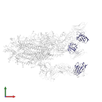 RBD-chAb-25, Light chain in PDB entry 7ej4, assembly 1, front view.
