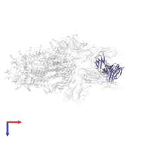 RBD-chAb-25, Light chain in PDB entry 7ej4, assembly 1, top view.