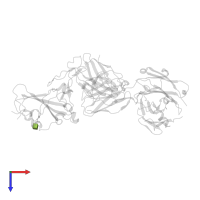 2-acetamido-2-deoxy-beta-D-glucopyranose in PDB entry 7ejz, assembly 1, top view.