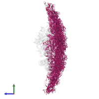 C2H2-type domain-containing protein in PDB entry 7elh, assembly 1, side view.