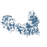 The deposited structure of PDB entry 7ell contains 1 copy of Pfam domain PF06016 (Reovirus core-spike protein lambda-2 (L2)) in Outer capsid protein lambda-2. Showing 1 copy in chain U [auth K].