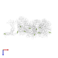 MYRISTIC ACID in PDB entry 7ell, assembly 1, top view.