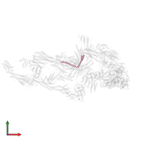 Mediator of RNA polymerase II transcription subunit 28 in PDB entry 7emf, assembly 1, front view.