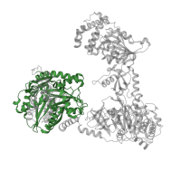 The deposited structure of PDB entry 7en1 contains 2 copies of Pfam domain PF00668 (Condensation domain) in Pyochelin synthase PchE. Showing 1 copy in chain B.