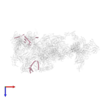 Transcription initiation factor TFIID subunit 4 in PDB entry 7ena, assembly 1, top view.