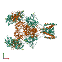 Hetero tetrameric assembly 1 of PDB entry 7eu7 coloured by chemically distinct molecules, front view.