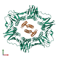 Hetero tetrameric assembly 1 of PDB entry 7evp coloured by chemically distinct molecules, front view.