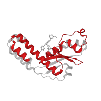 The deposited structure of PDB entry 7ex7 contains 4 copies of Pfam domain PF15518 (L protein N-terminus) in RNA-directed RNA polymerase L. Showing 1 copy in chain D.