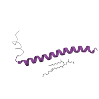 The deposited structure of PDB entry 7f03 contains 1 copy of Pfam domain PF04995 (Heme exporter protein D (CcmD)) in Heme exporter protein D. Showing 1 copy in chain D.