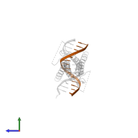 DNA (5'-D(*CP*AP*GP*AP*TP*CP*AP*TP*GP*TP*GP*TP*GP*CP*C)-3') in PDB entry 7f2f, assembly 1, side view.